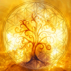 Sephiroth – Activation De L'Arbre De Vie