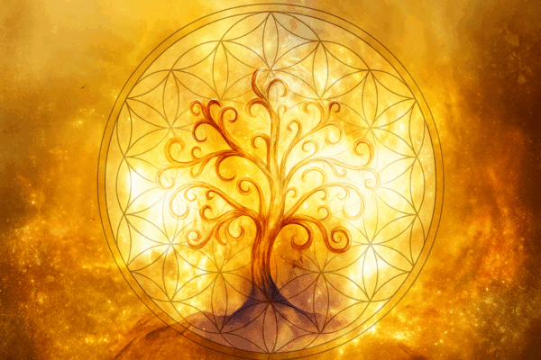 Sephiroth – Activation De L'Arbre De Vie